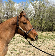 Load image into Gallery viewer, Nylon Halters