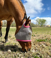 Load image into Gallery viewer, Fly Masks