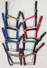 Load image into Gallery viewer, Nylon Halters