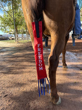 Load image into Gallery viewer, FREEDOM Tail Bags--Regular